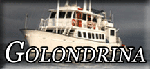 Golondrina button
